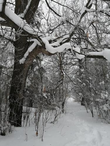 Outdoor Pictures 11