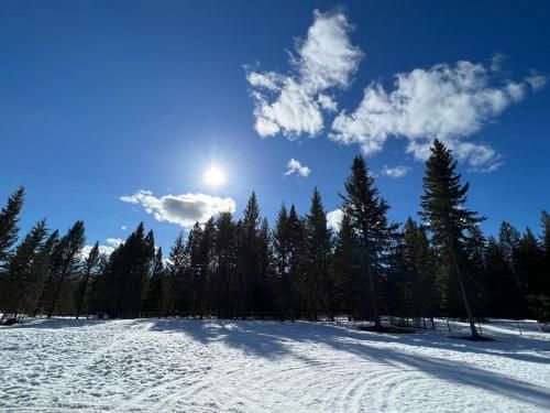 Outdoor Pictures 7