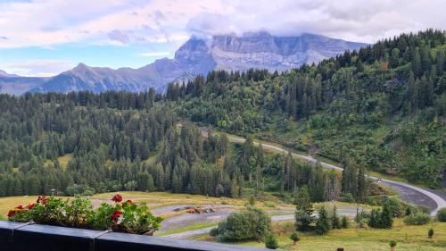 Outdoor Pictures 7
