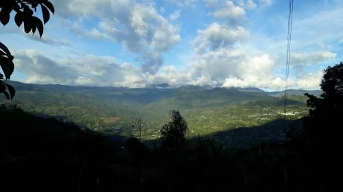 Outdoor Pictures 1