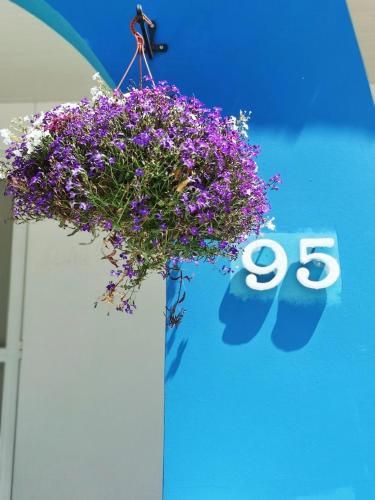 Outdoor Pictures 23