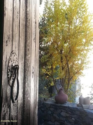 Outdoor Pictures 7