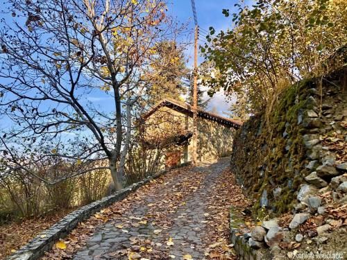 Outdoor Pictures 11