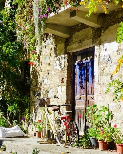 Outdoor Pictures 9