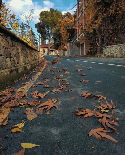 Outdoor Pictures 7
