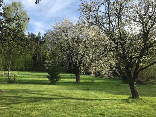 Outdoor Pictures 11