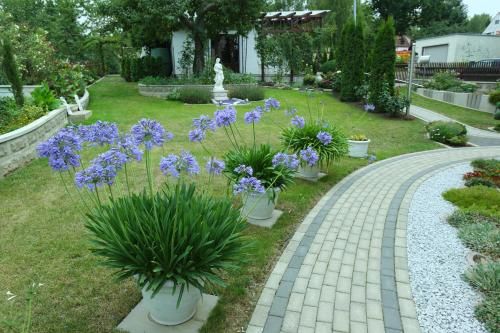 Outdoor Pictures 23