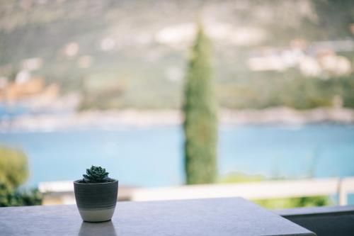 Outdoor Pictures 2