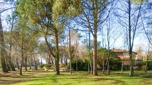 Maison de 2 chambres avec jardin clos a Hourtin