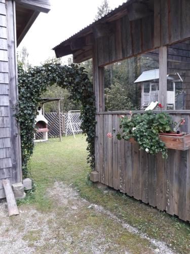 Outdoor Pictures 5