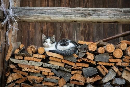Outdoor Pictures 23