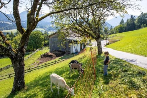 Outdoor Pictures 24