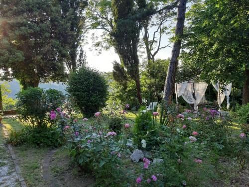 Outdoor Pictures 24