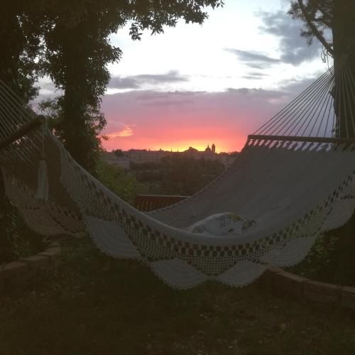 Outdoor Pictures 18