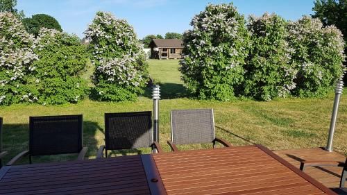 Outdoor Pictures 15