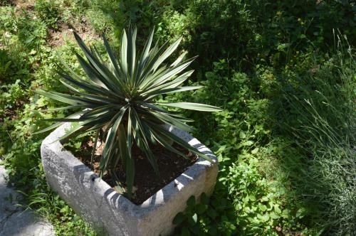 Outdoor Pictures 5