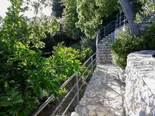 Outdoor Pictures 21