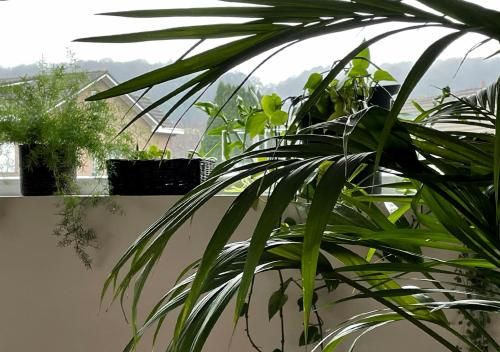 Outdoor Pictures 12