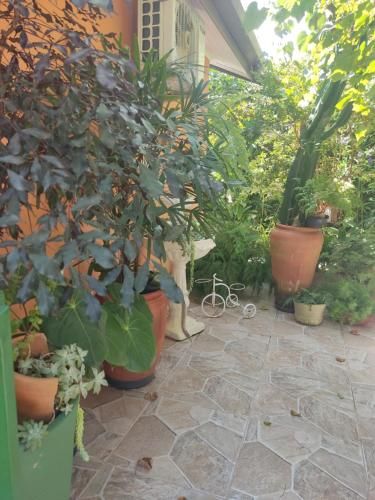 Outdoor Pictures 23
