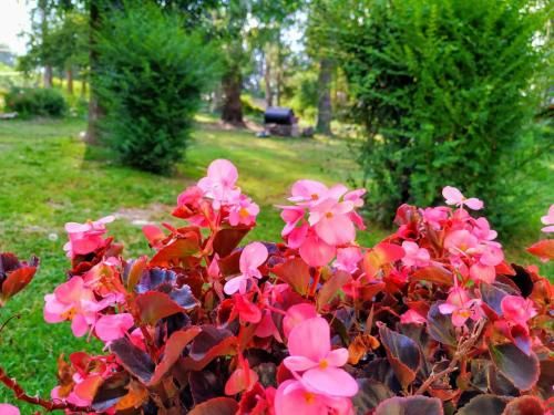 Outdoor Pictures 23