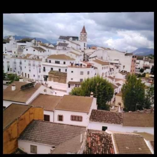 3 bedrooms house with city view private pool and enclosed garden at Arriate