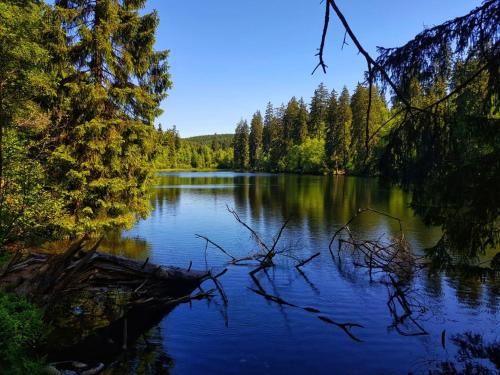 Outdoor Pictures 23