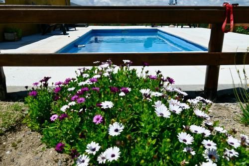 Outdoor Pictures 23