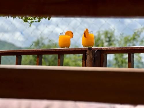 Outdoor Pictures 11