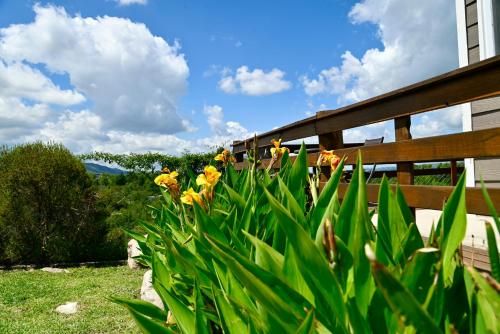 Outdoor Pictures 24