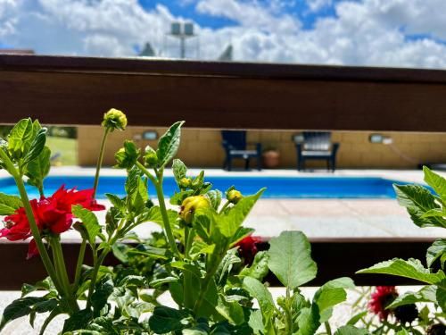 Outdoor Pictures 14