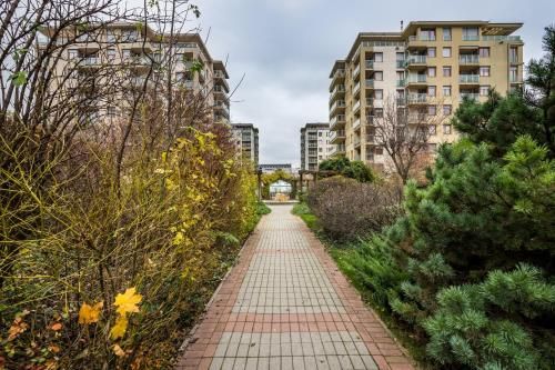 Outdoor Pictures 3