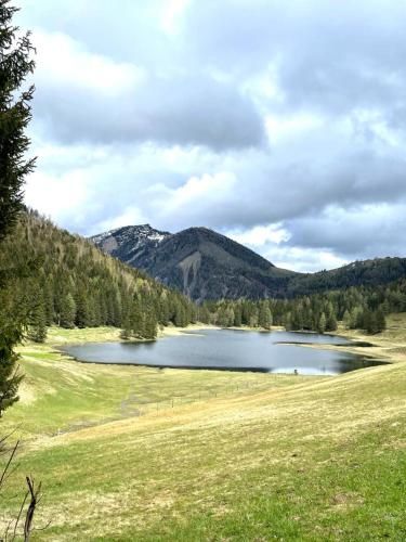 Outdoor Pictures 15