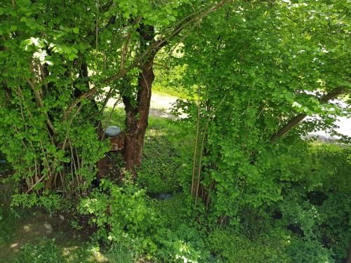 Outdoor Pictures 19