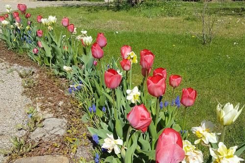 Outdoor Pictures 22
