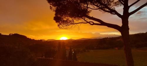 Outdoor Pictures 24