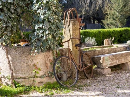 Outdoor Pictures 9