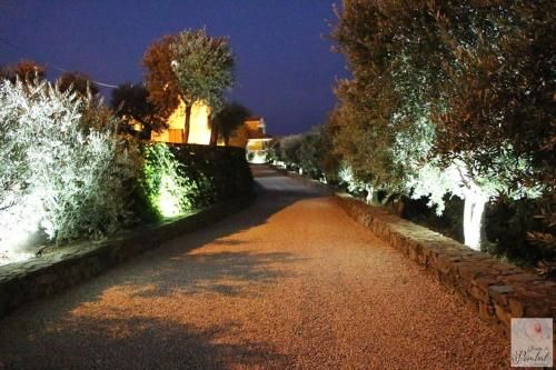 Outdoor Pictures 7