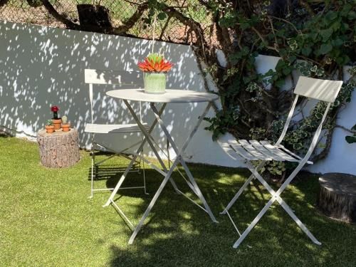 Outdoor Pictures 24