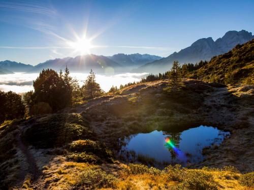 Outdoor Pictures 15