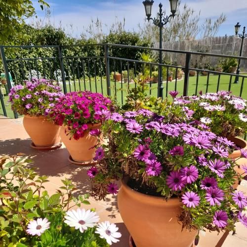 Outdoor Pictures 5