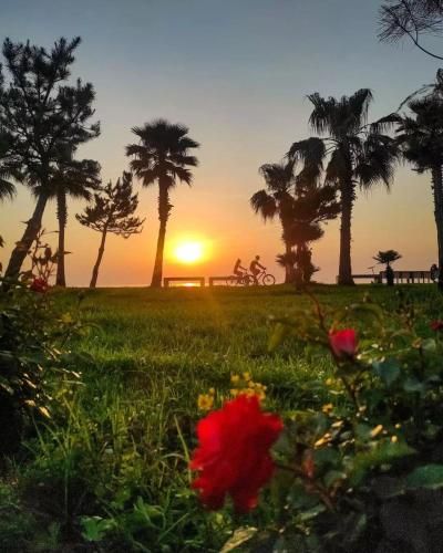 Outdoor Pictures 7