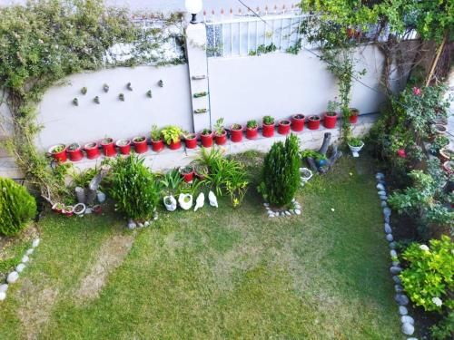 Outdoor Pictures 13