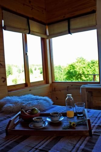 Outdoor Pictures 19
