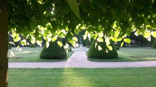 Outdoor Pictures 23