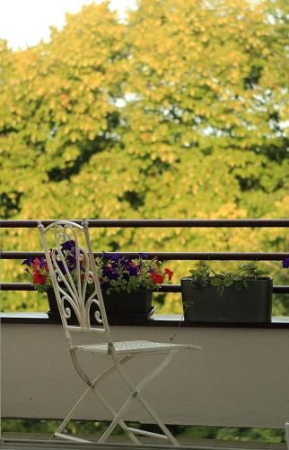 Outdoor Pictures 21