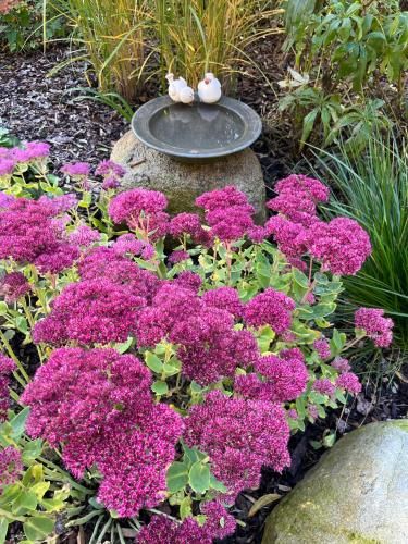 Outdoor Pictures 11