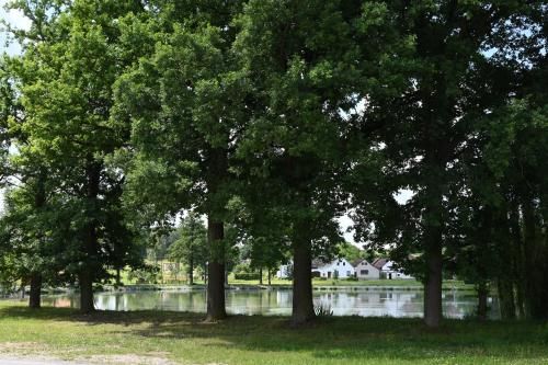 Outdoor Pictures 12