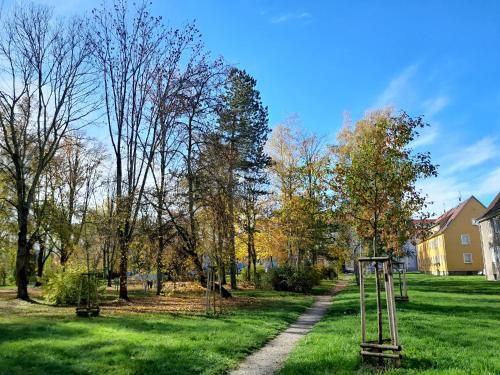 Outdoor Pictures 9