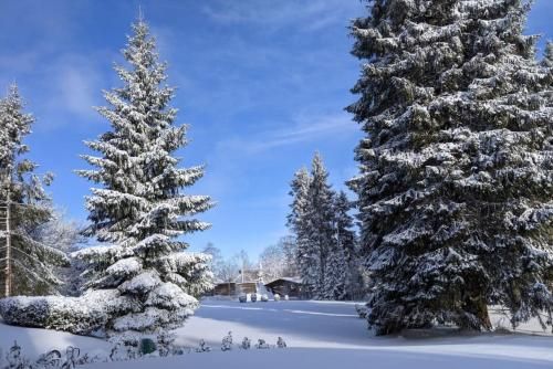 Outdoor Pictures 11