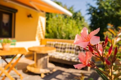 Outdoor Pictures 1